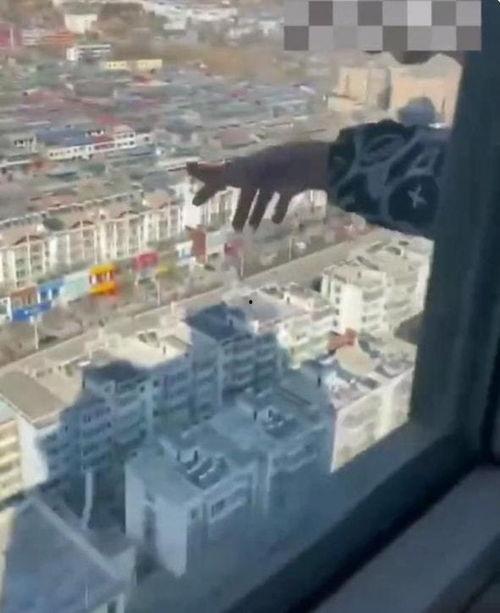 山西临汾一楼爆料视频最新,惊险瞬间引发社会关注  第1张